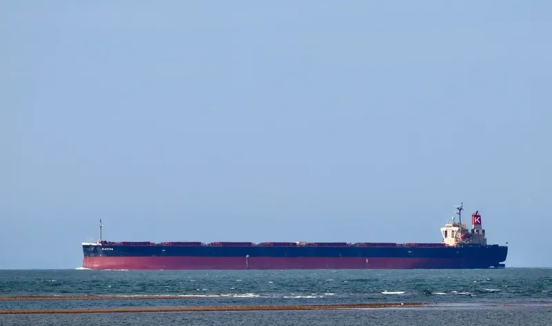 ELETTRA Bulk Carrier IMO 9355496 photo 7