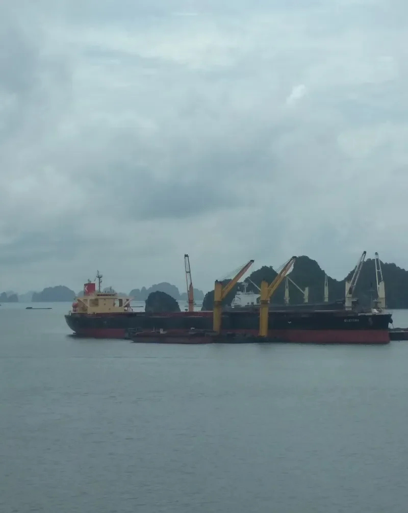 ELETTRA Bulk Carrier IMO 9355496 photo 9