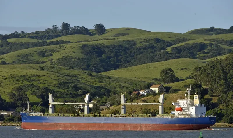 STAR MINERVA General Cargo IMO 9355513