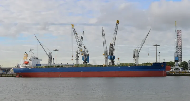 STAR MINERVA General Cargo IMO 9355513 photo 6