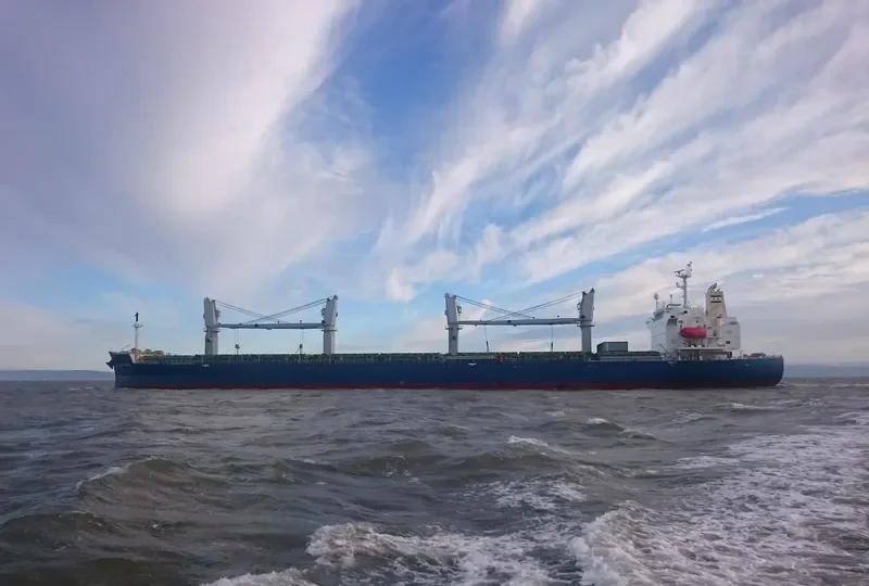 STAR MINERVA General Cargo IMO 9355513 photo 8