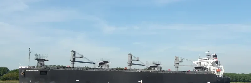 HOKUETSU USHAKA Bulk Carrier IMO 9355537 photo 8