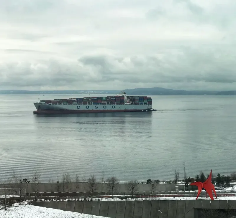 COSCO TAICANG Container Ship IMO 9355575