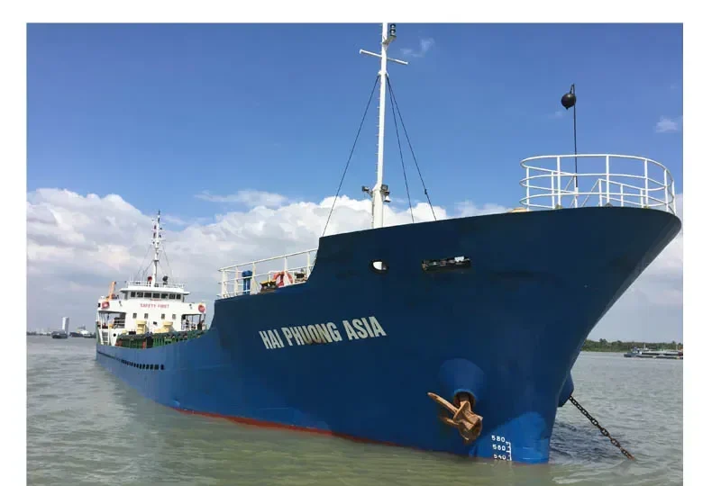 TRUONG SON 36 General Cargo IMO 9355721 photo 6
