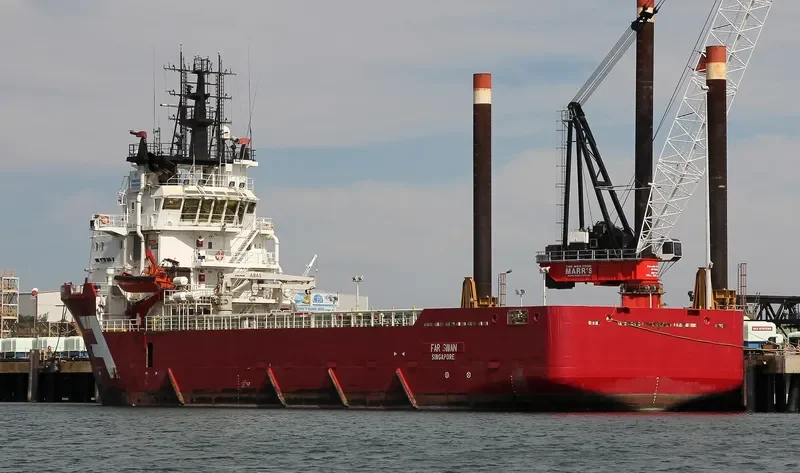 FAR SWAN General Cargo IMO 9355953 photo 3