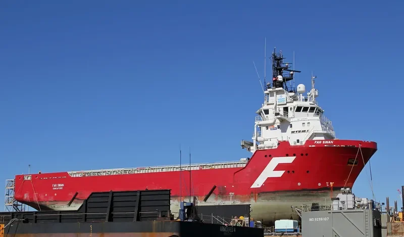 FAR SWAN General Cargo IMO 9355953 photo 6