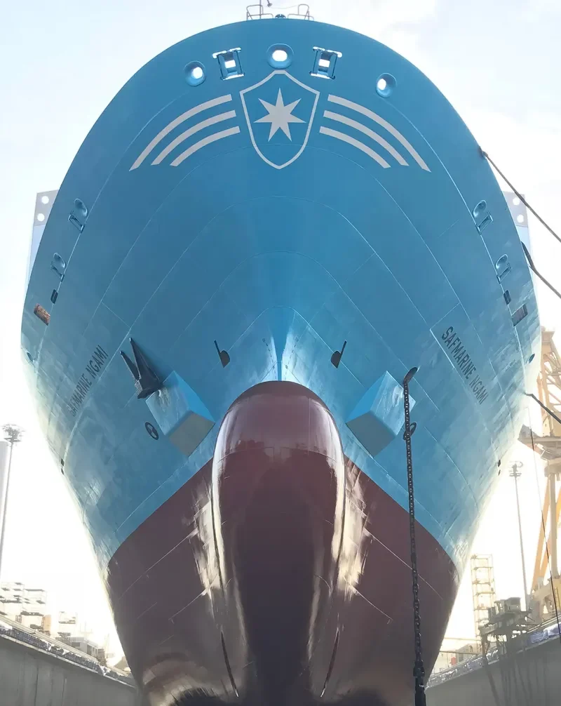 SAFMARINE NGAMI Container Ship IMO 9356074