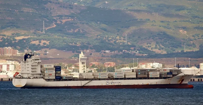 SAFMARINE NILE Container Ship IMO 9356098 photo 9