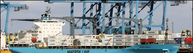 MERCOSUL SUAPE Container Ship IMO 9356141