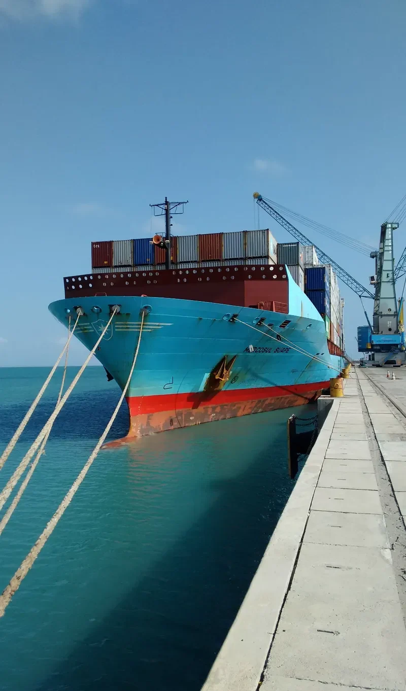 MERCOSUL SUAPE Container Ship IMO 9356141 photo 8