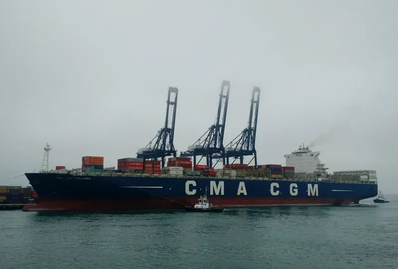 CMA CGM THALASSA Container Ship IMO 9356294 photo 3