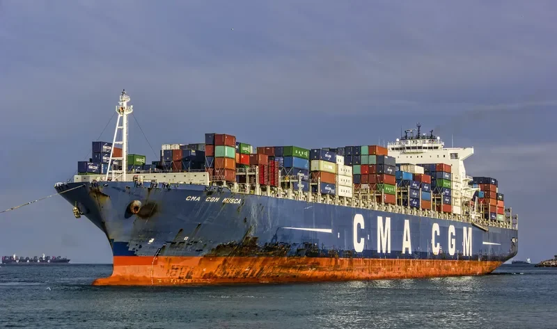 CMA CGM MUSCA Container Ship IMO 9356311 photo 9