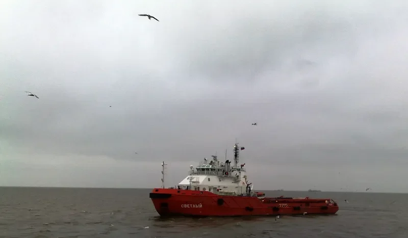 SVETLYY Offshore Vessel IMO 9356373 photo 7