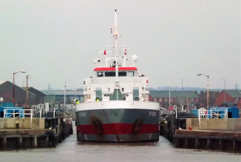 HYDRA Container Ship IMO 9356488 photo 4