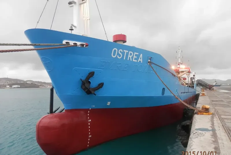 OSTREA General Cargo IMO 9356634 photo 3