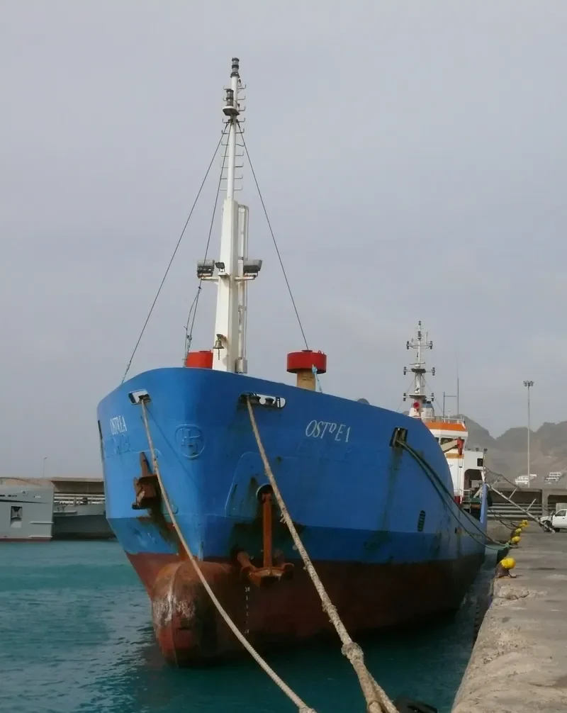 OSTREA General Cargo IMO 9356634 photo 6