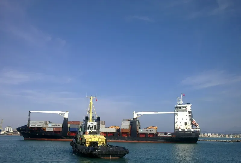 ATLANTIC MONACO Container Ship IMO 9356658 photo 3