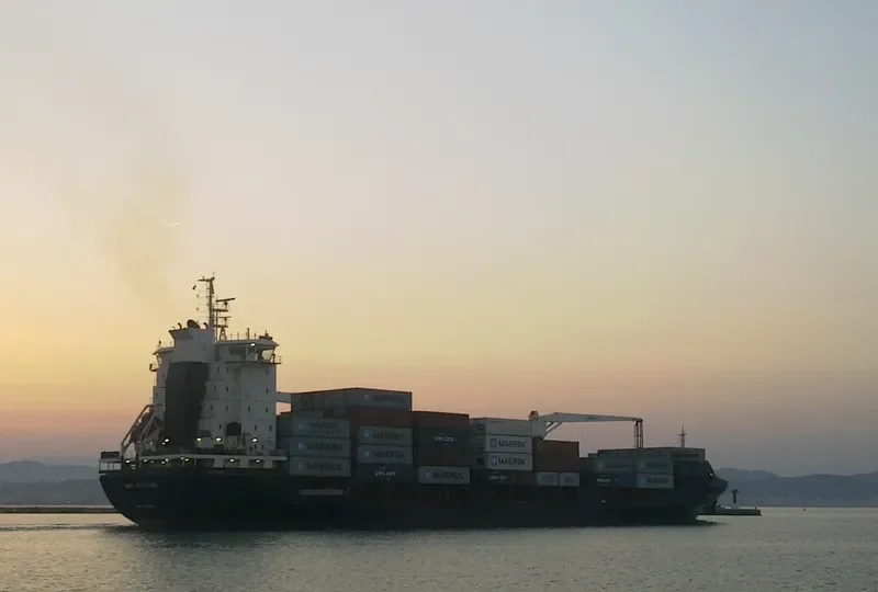 ATLANTIC MONACO Container Ship IMO 9356658 photo 4