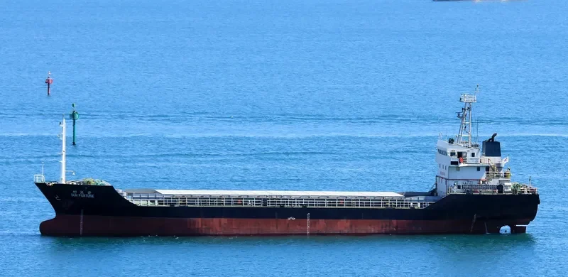 SUN FORTUNE Bulk Carrier IMO 9356775