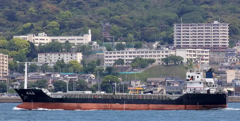 SUN FORTUNE Bulk Carrier IMO 9356775 photo 4