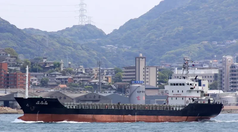 SUN FORTUNE Bulk Carrier IMO 9356775 photo 5