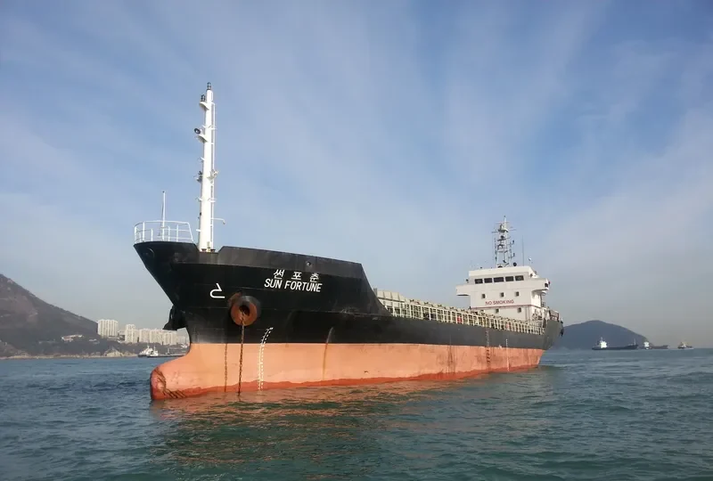 SUN FORTUNE Bulk Carrier IMO 9356775 photo 6