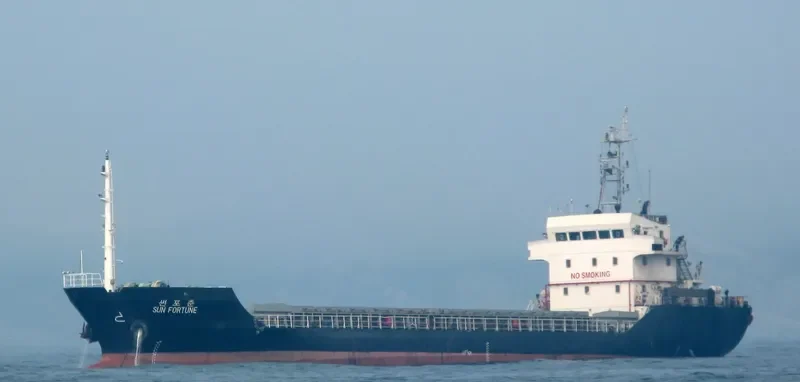 SUN FORTUNE Bulk Carrier IMO 9356775 photo 7