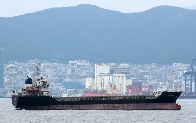 SUN FORTUNE Bulk Carrier IMO 9356775 photo 8