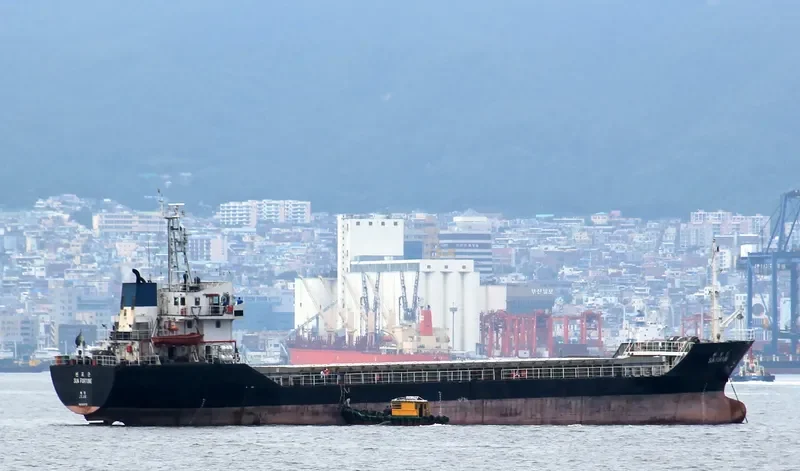 SUN FORTUNE Bulk Carrier IMO 9356775 photo 9