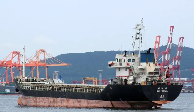 SUN FORTUNE Bulk Carrier IMO 9356775 photo 10
