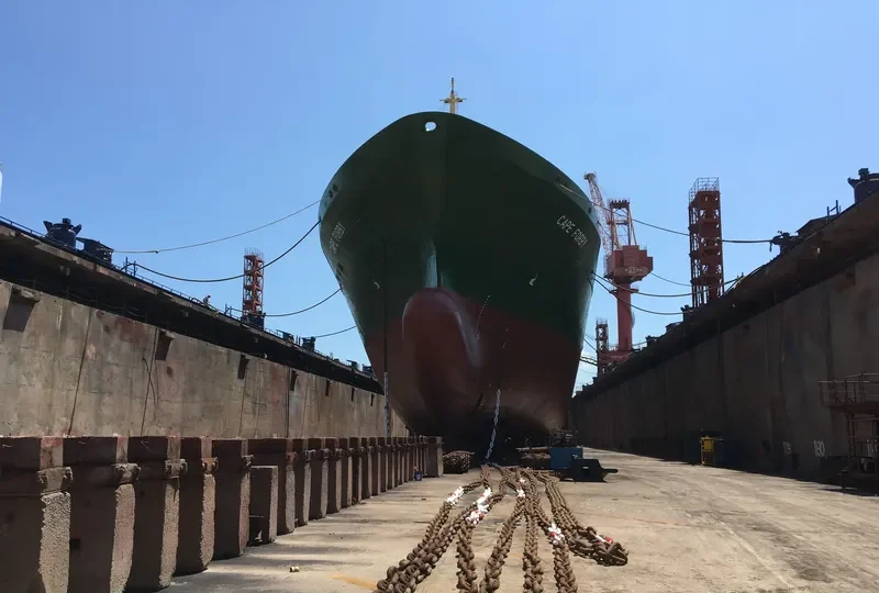CAPE FORBY Container Ship IMO 9356842 photo 4