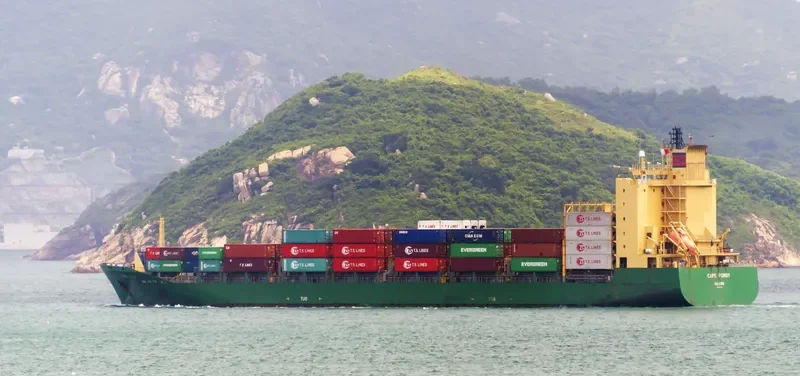 CAPE FORBY Container Ship IMO 9356842 photo 5