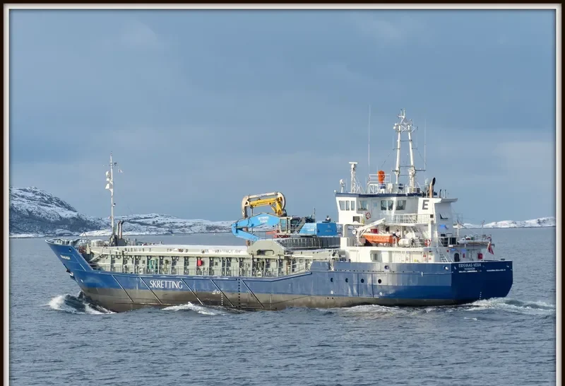 EIDSVAAG VEGA General Cargo IMO 9356854 photo 7