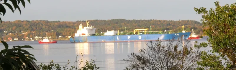BU SIDRA General Cargo IMO 9356892 photo 7