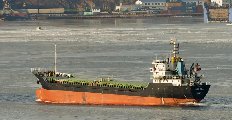 EAST WELL General Cargo IMO 9357054 photo 4