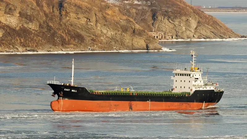EAST WELL General Cargo IMO 9357054 photo 5