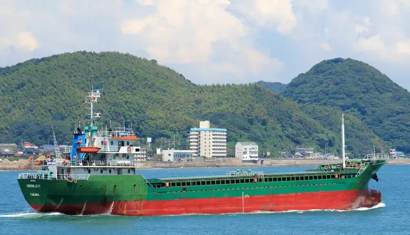 EAST WELL General Cargo IMO 9357054 photo 7
