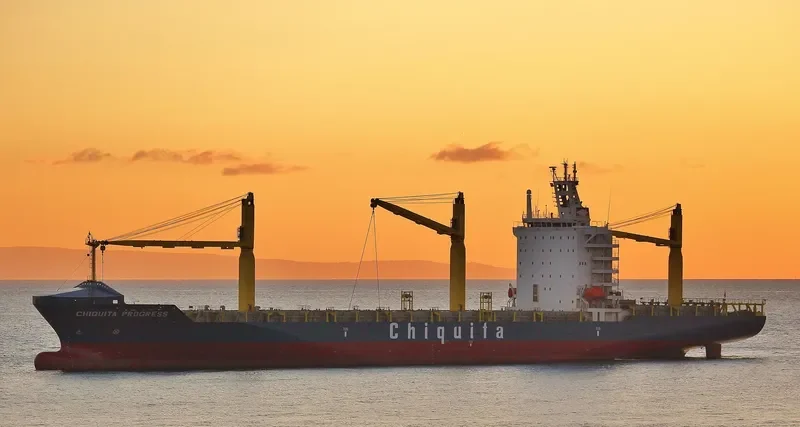 CHIQUITA PROGRESS Container Ship IMO 9357119 photo 3