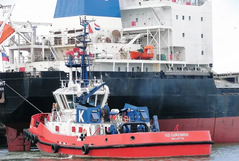 VB GOLDEN General Cargo IMO 9357286