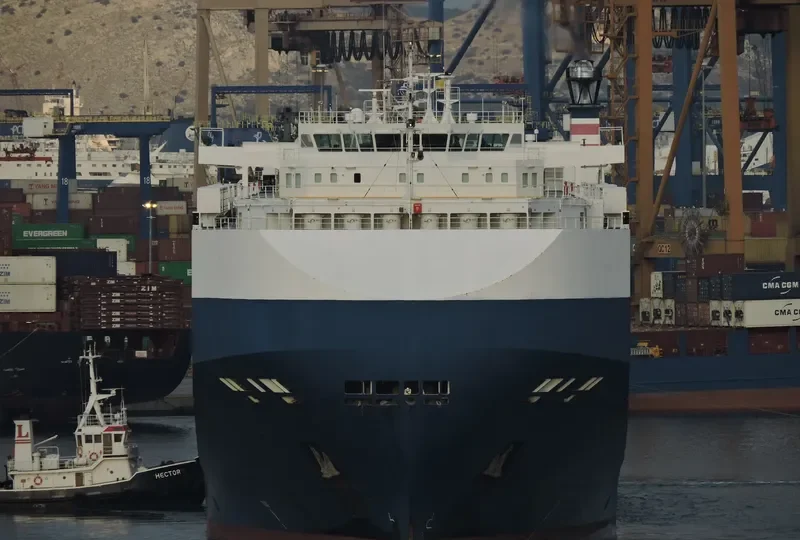 GARNET LEADER General Cargo IMO 9357327 photo 7