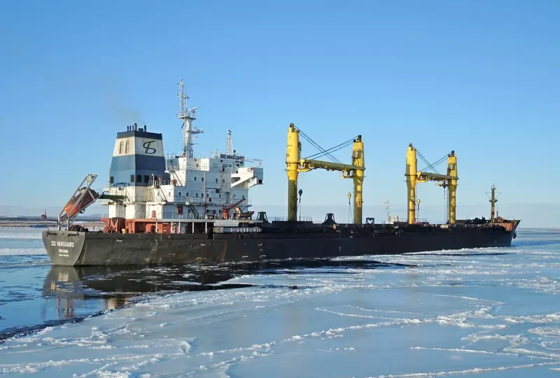DD VANGUARD Bulk Carrier IMO 9357420 photo 3