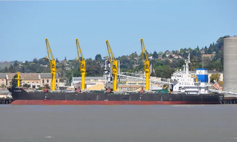 DD VANGUARD Bulk Carrier IMO 9357420 photo 5