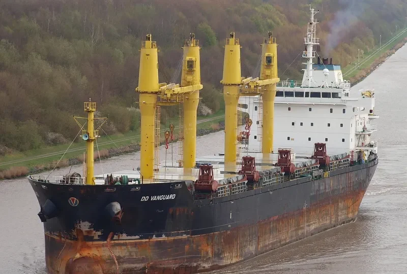 DD VANGUARD Bulk Carrier IMO 9357420 photo 7