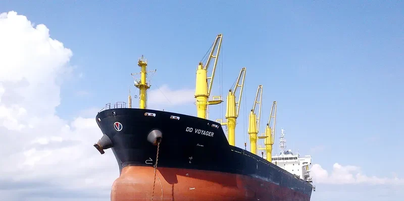 DD VOYAGER Bulk Carrier IMO 9357444 photo 3