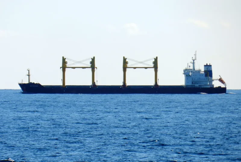 DD VOYAGER Bulk Carrier IMO 9357444 photo 7