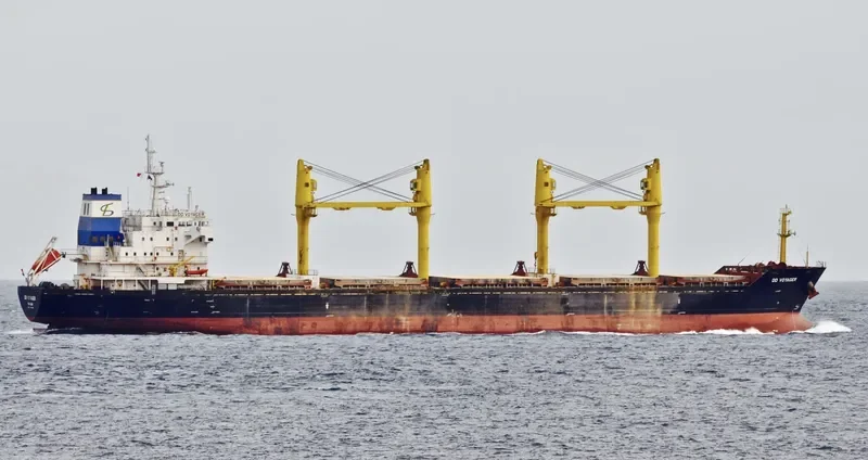 DD VOYAGER Bulk Carrier IMO 9357444 photo 9