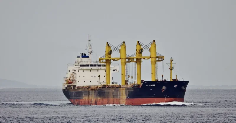 DD VOYAGER Bulk Carrier IMO 9357444 photo 10