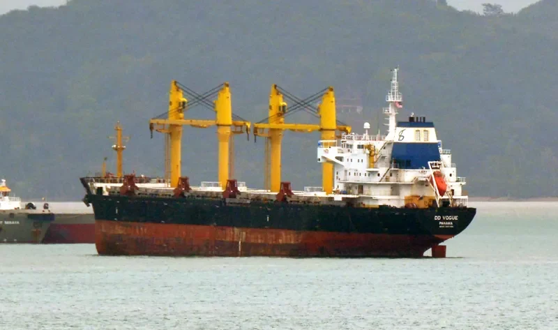 DD VOGUE Bulk Carrier IMO 9357456