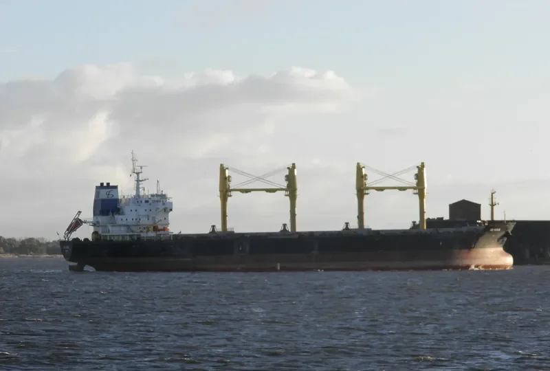 DD VOGUE Bulk Carrier IMO 9357456 photo 2