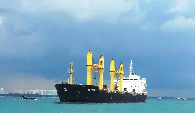 DD VOGUE Bulk Carrier IMO 9357456 photo 3
